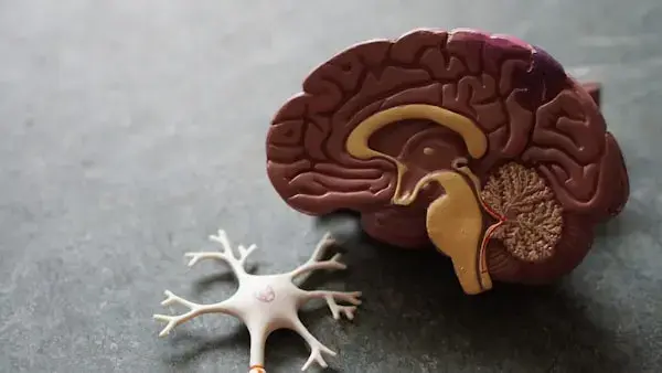 GLP-1 Medications and Nutrition: What You Need to Know